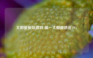 太阳能板块普跌 第一太阳能跌近19%