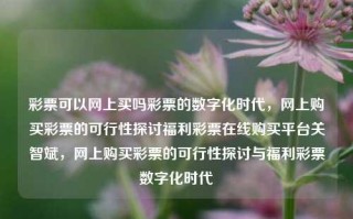 彩票可以网上买吗彩票的数字化时代，网上购买彩票的可行性探讨福利彩票在线购买平台关智斌，网上购买彩票的可行性探讨与福利彩票数字化时代，网上购买彩票的可行性探讨与福利彩票数字化时代的来临