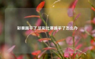 彩票踢平了,足彩比赛踢平了怎么办