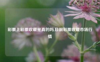 彩票上彩票收藏是真的吗,目前彩票收藏市场行情