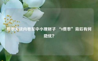 费率大战内卷至中小理财子 “0费率”背后有何隐忧？