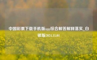 中国彩票下载手机版app综合解答解释落实_白银版2024.11.04