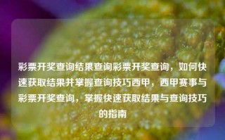 彩票开奖查询结果查询彩票开奖查询，如何快速获取结果并掌握查询技巧西甲，西甲赛事与彩票开奖查询，掌握快速获取结果与查询技巧的指南，快速掌握彩票开奖与西甲赛事查询技巧指南