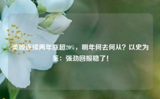 美股连续两年涨超20%，明年何去何从？以史为鉴：强劲回报稳了！