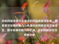 中彩网新浪数字彩票中彩网新浪数字彩票，探索数字彩票的魅力与机遇中彩网新浪首页爱奇艺，数字彩票的魅力与机遇，中彩网新浪首页探索之旅，中彩网新浪数字彩票，探索魅力与机遇的旅程