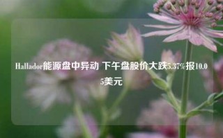 Hallador能源盘中异动 下午盘股价大跌5.37%报10.05美元