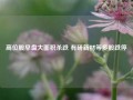 高位股早盘大面积杀跌 有研新材等多股跌停