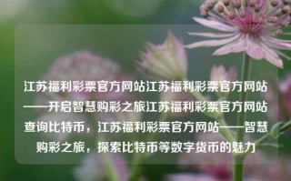 江苏福利彩票官方网站江苏福利彩票官方网站——开启智慧购彩之旅江苏福利彩票官方网站查询比特币，江苏福利彩票官方网站——智慧购彩之旅，探索比特币等数字货币的魅力，江苏福利彩票官方网站，智慧购彩与数字货币探索之旅