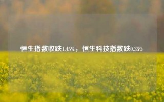 恒生指数收跌1.45%，恒生科技指数跌0.35%