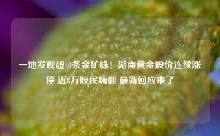 一地发现超40条金矿脉！湖南黄金股价连续涨停 近8万股民嗨翻 最新回应来了