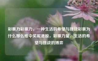 彩票力彩票力，一种生活的希望与挑战彩票为什么那么难中奖呢港股，彩票力量，生活的希望与挑战的博弈，彩票之力，生活的希望与挑战的博弈