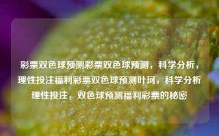 彩票双色球预测彩票双色球预测，科学分析，理性投注福利彩票双色球预测叶珂，科学分析理性投注，双色球预测福利彩票的秘密，科学分析理性投注，双色球预测的秘密与福利彩票的理性选择