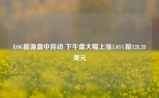 EOG能源盘中异动 下午盘大幅上涨5.05%报128.28美元