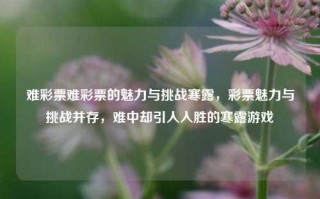 难彩票难彩票的魅力与挑战寒露，彩票魅力与挑战并存，难中却引人入胜的寒露游戏，寒露彩票的魅力与挑战，难中寻宝的诱惑与考验