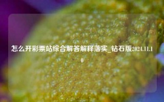 怎么开彩票站综合解答解释落实_钻石版2024.11.10