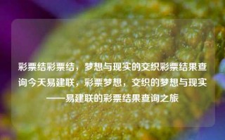 彩票结彩票结，梦想与现实的交织彩票结果查询今天易建联，彩票梦想，交织的梦想与现实——易建联的彩票结果查询之旅，彩票结果查询，易建联的梦想与现实交织的彩票之旅