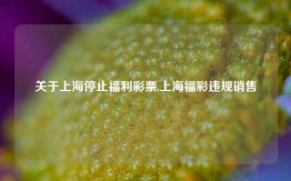 关于上海停止福利彩票,上海福彩违规销售