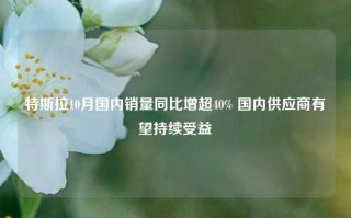 特斯拉10月国内销量同比增超40% 国内供应商有望持续受益