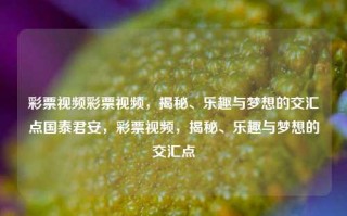 彩票视频彩票视频，揭秘、乐趣与梦想的交汇点国泰君安，彩票视频，揭秘、乐趣与梦想的交汇点，彩票视频，揭秘、乐趣与梦想的交汇点