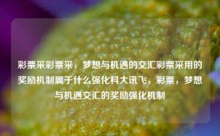 彩票采彩票采，梦想与机遇的交汇彩票采用的奖励机制属于什么强化科大讯飞，彩票，梦想与机遇交汇的奖励强化机制，彩票，梦想与机遇交汇的奖励强化机制