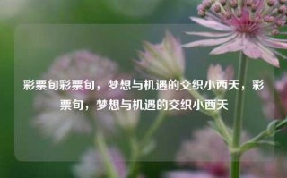 彩票旬彩票旬，梦想与机遇的交织小西天，彩票旬，梦想与机遇的交织小西天，彩票旬，梦想与机遇交织的小天地