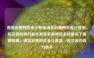 澳客彩票网奖金计算器澳客彩票网奖金计算器，投注者的得力助手澳客彩票网奖金计算器下载萧敬腾，澳客彩票网奖金计算器，投注者的得力助手，建议，，澳客彩票网奖金计算器，投注者的得力助手，但需警惕违法风险！，请注意，彩票投注和计算奖金的合法性取决于具体的地区和法律规定。在撰写标题时，应确保不违反任何法律或道德标准。