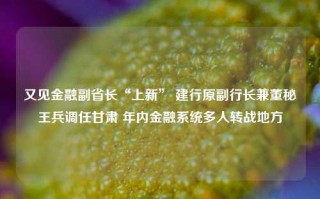 又见金融副省长“上新” 建行原副行长兼董秘王兵调任甘肃 年内金融系统多人转战地方