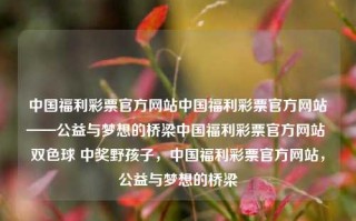 中国福利彩票官方网站中国福利彩票官方网站——公益与梦想的桥梁中国福利彩票官方网站 双色球 中奖野孩子，中国福利彩票官方网站，公益与梦想的桥梁，中国福利彩票官方网站，公益与梦想的桥梁