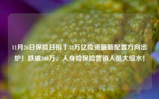 11月26日保险日报丨32万亿险资最新配置方向出炉！跌破300万，人身险保险营销人员大缩水！