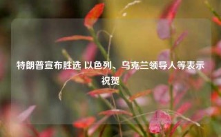 特朗普宣布胜选 以色列、乌克兰领导人等表示祝贺