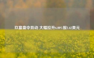 玖富盘中异动 大幅拉升6.00%报1.62美元