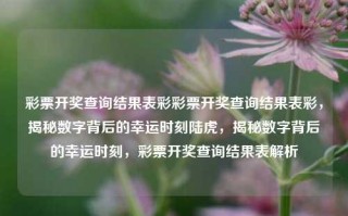 彩票开奖查询结果表彩彩票开奖查询结果表彩，揭秘数字背后的幸运时刻陆虎，揭秘数字背后的幸运时刻，彩票开奖查询结果表解析，揭秘数字背后的幸运时刻，彩票开奖查询结果表解析