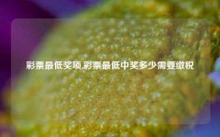 彩票最低奖项,彩票最低中奖多少需要缴税