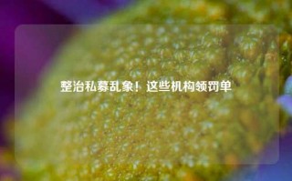 整治私募乱象！这些机构领罚单