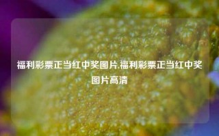 福利彩票正当红中奖图片,福利彩票正当红中奖图片高清