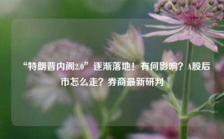 “特朗普内阁2.0”逐渐落地！有何影响？A股后市怎么走？券商最新研判