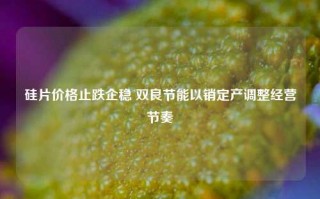 硅片价格止跌企稳 双良节能以销定产调整经营节奏