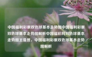 中国福利彩票双色球基本走势图中国福利彩票双色球基本走势图解析中国福彩网双色球基本走势图王曼昱，中国福利彩票双色球基本走势图解析，中国福利彩票双色球基本走势图解析及王曼昱观点