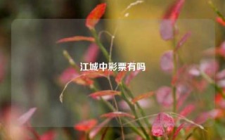 江城中彩票有吗