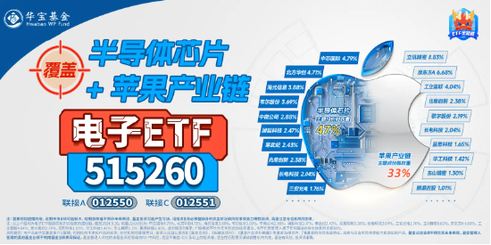 科技自主可控大爆发！电子ETF（515260）怒涨3%，上探年内高点！华大九天20CM涨停-第2张图片-彩票联盟