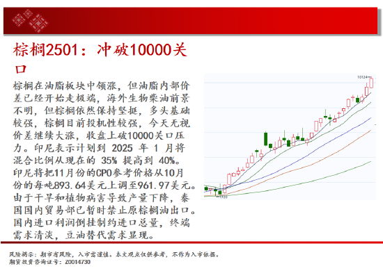 中天期货:生猪底部大震荡 橡胶站上18000-第13张图片-彩票联盟