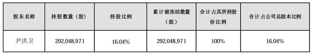 大股东持股遭八次轮候冻结，岭南股份流动性危机何解-第1张图片-彩票联盟