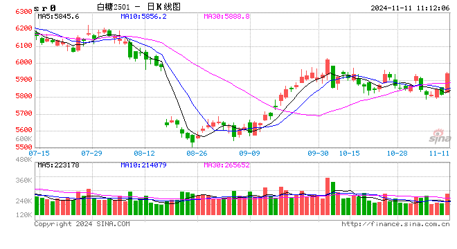 光大期货：11月11日软商品日报-第2张图片-彩票联盟