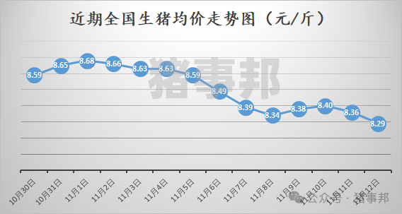 11月12日猪价汇总（均价再度刷新近5个月新低！）-第3张图片-彩票联盟