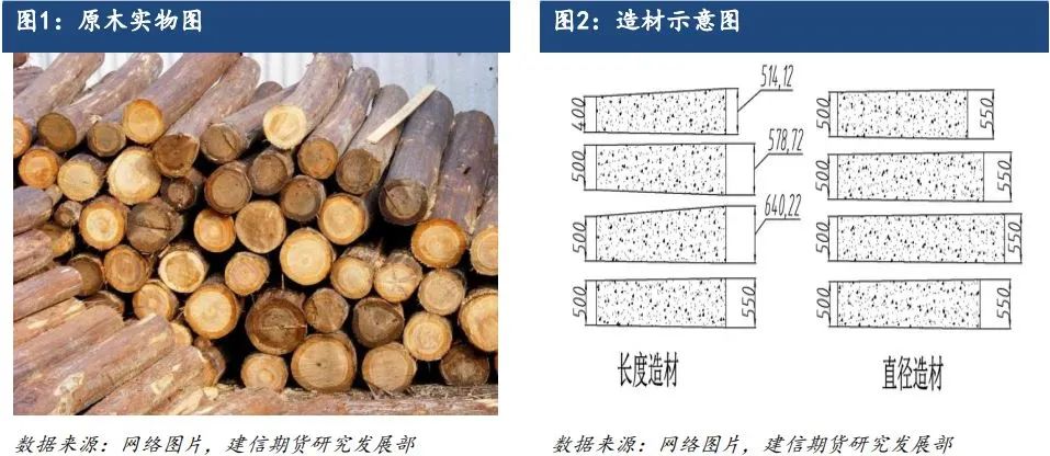 原木期货上市系列专题一：原木基础知识及产业链格局-第2张图片-彩票联盟