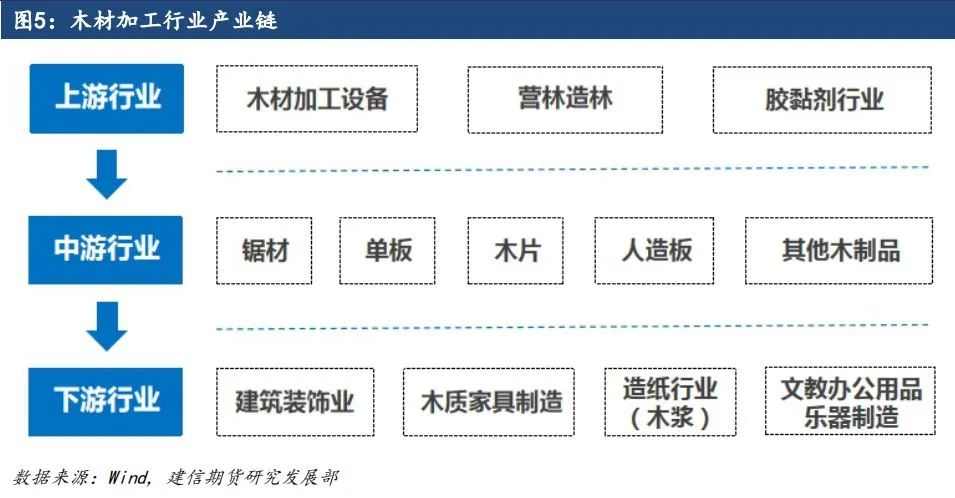 原木期货上市系列专题一：原木基础知识及产业链格局-第5张图片-彩票联盟