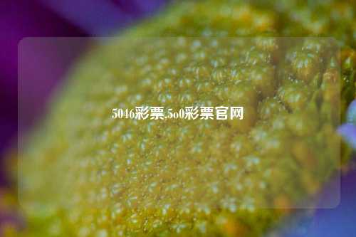 5046彩票,5o0彩票官网-第1张图片-彩票联盟