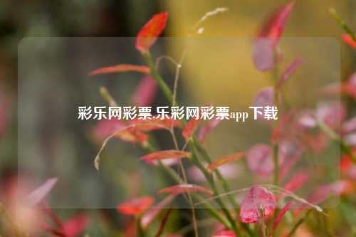 彩乐网彩票,乐彩网彩票app下载-第1张图片-彩票联盟