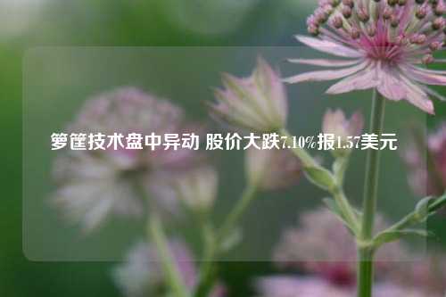 箩筐技术盘中异动 股价大跌7.10%报1.57美元-第1张图片-彩票联盟