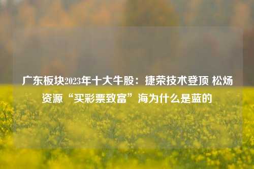 广东板块2023年十大牛股：捷荣技术登顶 松炀资源“买彩票致富”海为什么是蓝的-第1张图片-彩票联盟